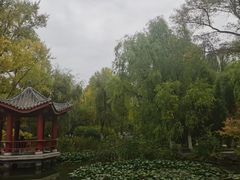 -西宁市人民公园(城西区)