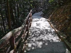 -鼎湖山风景区