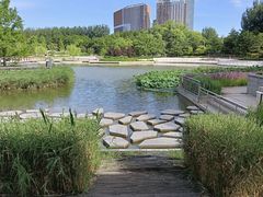-大望京公园