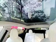 -TESLA 特斯拉(郑州正弘城体验店)