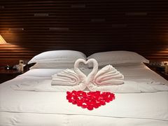 -海南清水湾莱佛士酒店