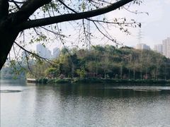-重庆彩云湖湿地公园