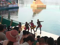 -秦皇岛乐岛海洋王国