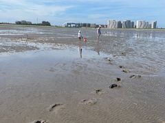 -奉贤海滩