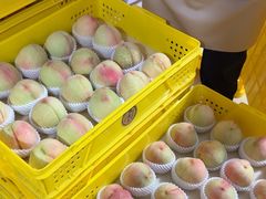 -老袁家蜜桃农场·阳山水蜜桃