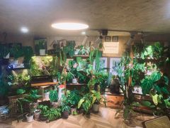 -Rabbit Cafe私房西餐甜点咖啡(栖霞路店)