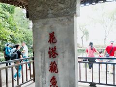 -西湖外事游船(花港观鱼码头)