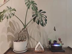 -莱蔻·圣灸堂·推拿艾灸(天山店)