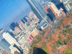 -上海明天广场JW万豪酒店