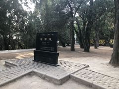 -黄帝陵
