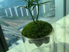 -星璞全日餐厅·高空自助餐(深铁铂尔曼酒店)