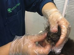 -瑞派·关忠动物医院(国瑞店)