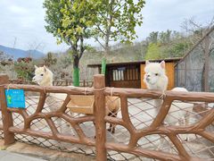 -森波拉奇妙世界