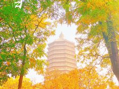 -玲珑塔公园
