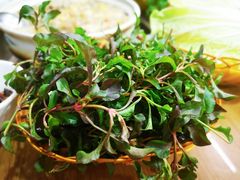 -杨记山珍鸡煲菌汤锅