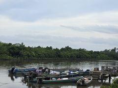 -东寨港红树林旅游区