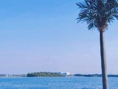 -武清南湖绿博园