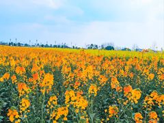 -中国天府农业博览园