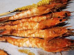 -烤五行·烧烤烤串(石佛营店)
