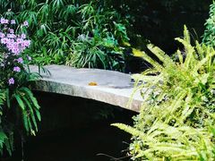 -广州兰圃