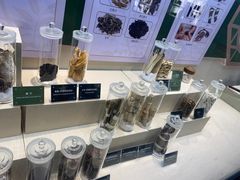 -广东中医药博物馆