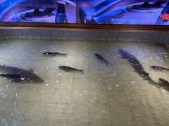 -胖姐渔村(中源大道店)