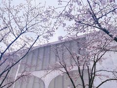 -龙美术馆(西岸馆)