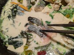 青椒紫苏锅-鲜潭蒸汽石锅鱼(五道口购物中心店)