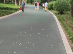 -迎泽公园