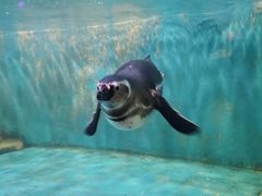 -常州海昌海洋探索馆