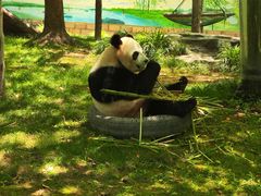 -上海野生动物园