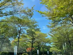 -海南清水湾莱佛士酒店