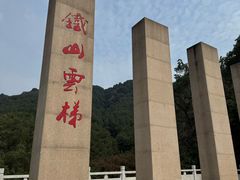 -铁山坪森林公园