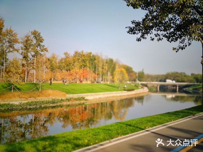 坝河休闲公园图片