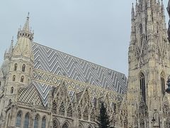 -斯蒂芬主教座堂(Stephansdom)