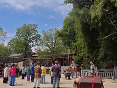 -大槐树寻根祭祖园