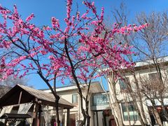 -国御温泉度假小镇