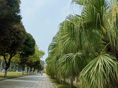 -厦门大学(思明校区)