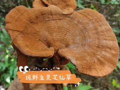 -深圳市人民医院(留医部)