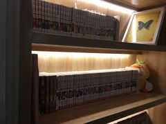 -滚猫咖啡·猫咖·猫友好撸猫(未来城店)