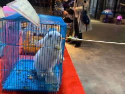 -酷嗒动物文化乐园(cutezoo西溪乐天城店)