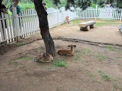 -秦皇岛野生动物园