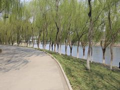 -秀水公园