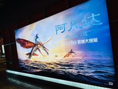 -北京英嘉国际影城(金源CINITY店)