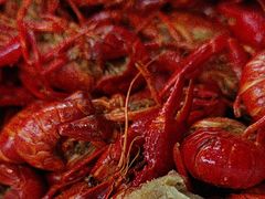 -虾糊闹(汽车东站店)