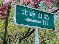 -北岭山森林公园