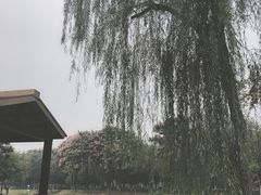 -后襄河公园