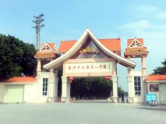 -大湾区中央湿地公园-十九涌