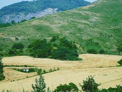 -恋山坝上草原