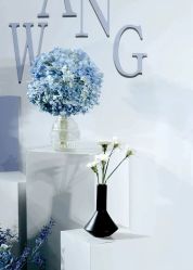 -明典婚礼策划·婚车租赁·婚纱摄影